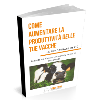 Ebook come aumentare la produttivita delle tue vacche